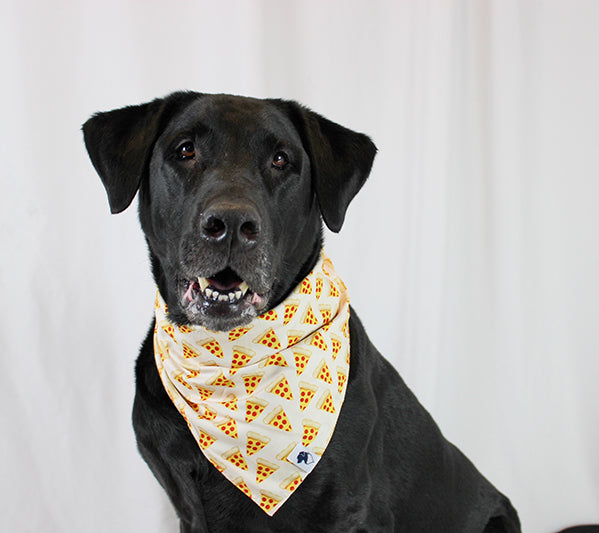 Pizza & Food Reversible Dog Bandana by Dog Bandana Co.