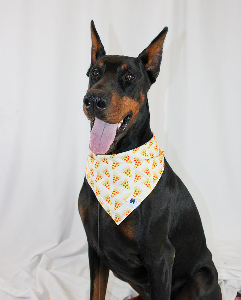 Pizza & Food Reversible Dog Bandana by Dog Bandana Co.