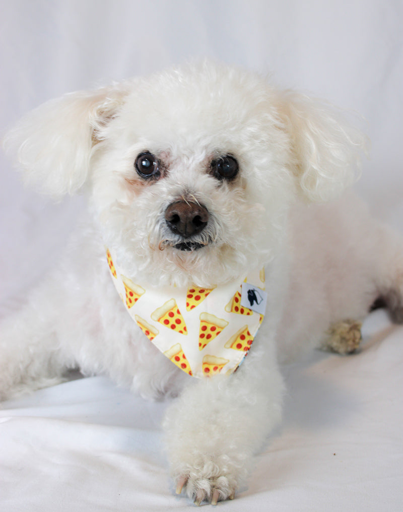 Pizza & Food Reversible Dog Bandana by Dog Bandana Co.