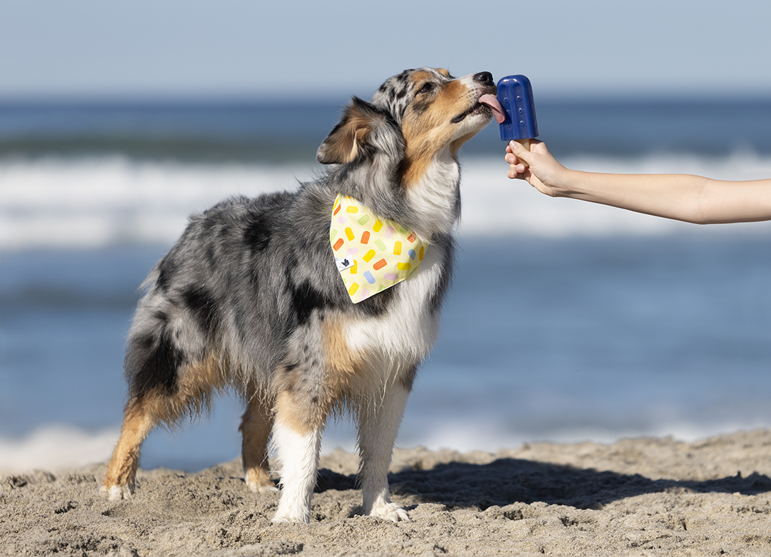 Popsicle Dog Reversible Bandana by Dog Bandana Co.