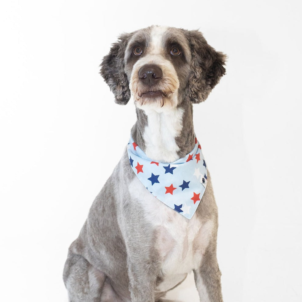 Patriotic Summer Reversible Dog Bandana by Dog Bandana Co.