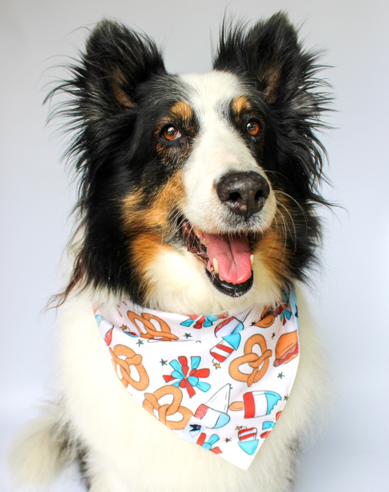 Patriotic Summer Reversible Dog Bandana by Dog Bandana Co.