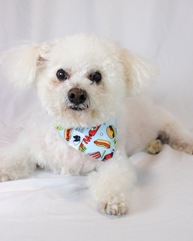 Pizza & Food Reversible Dog Bandana by Dog Bandana Co.