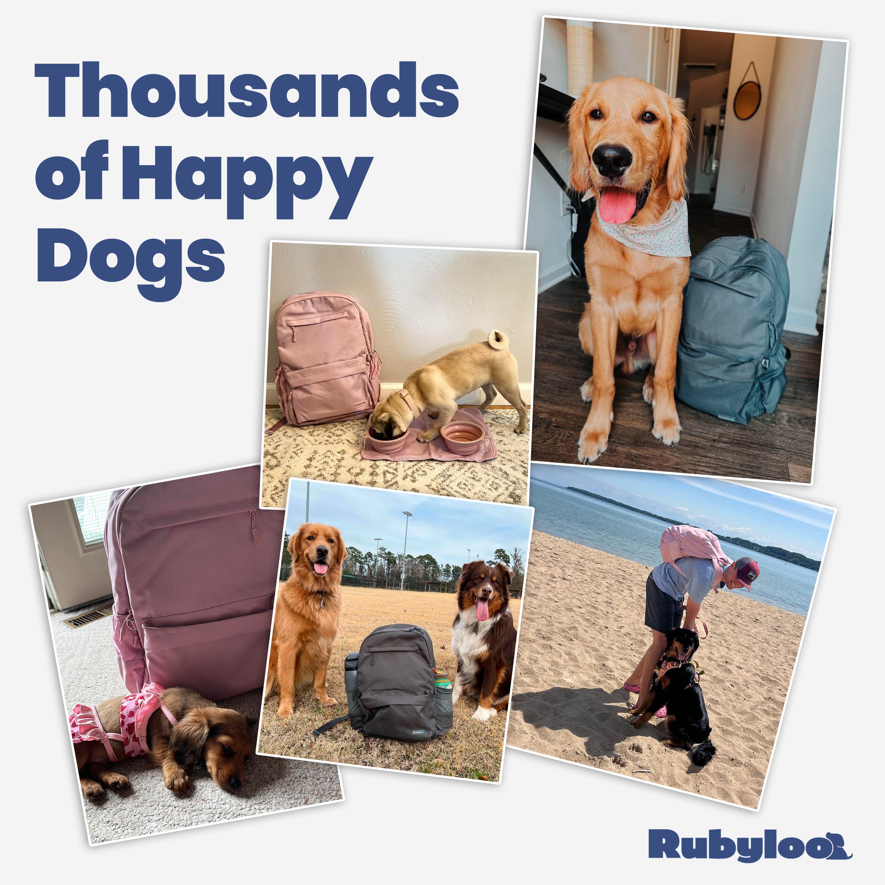 The Original Doggy Bag™ Backpack for Dog Supplies by Rubyloo