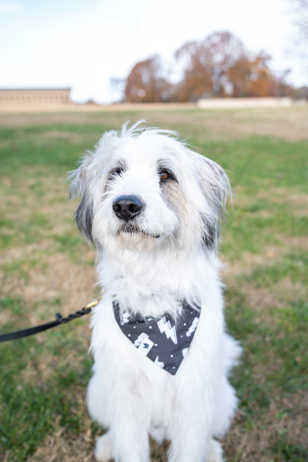 Blue Moon & Lightning Reversible Dog Bandana by Dog Bandana Co.