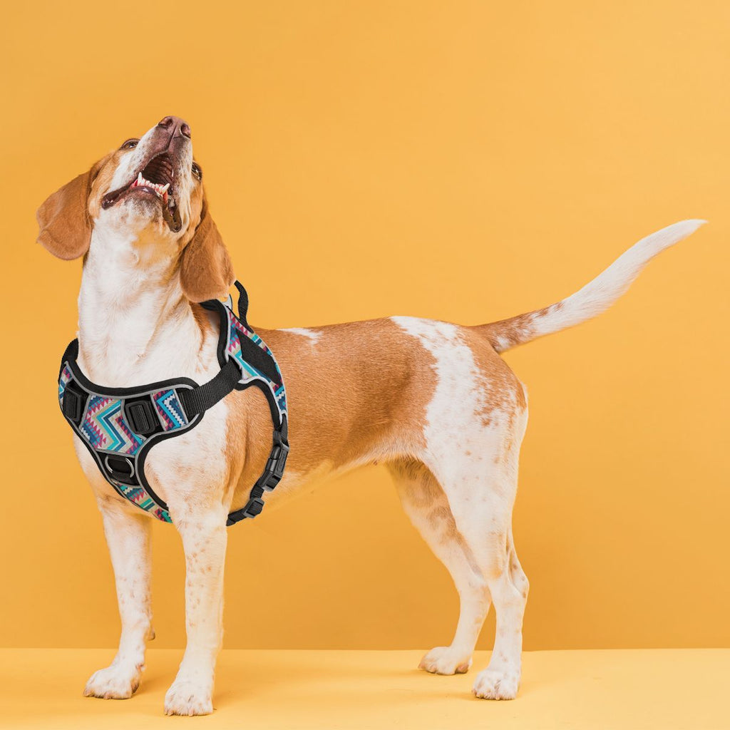 Dogline Quest Multi-Purpose No Pull Dog Harness by Dogline
