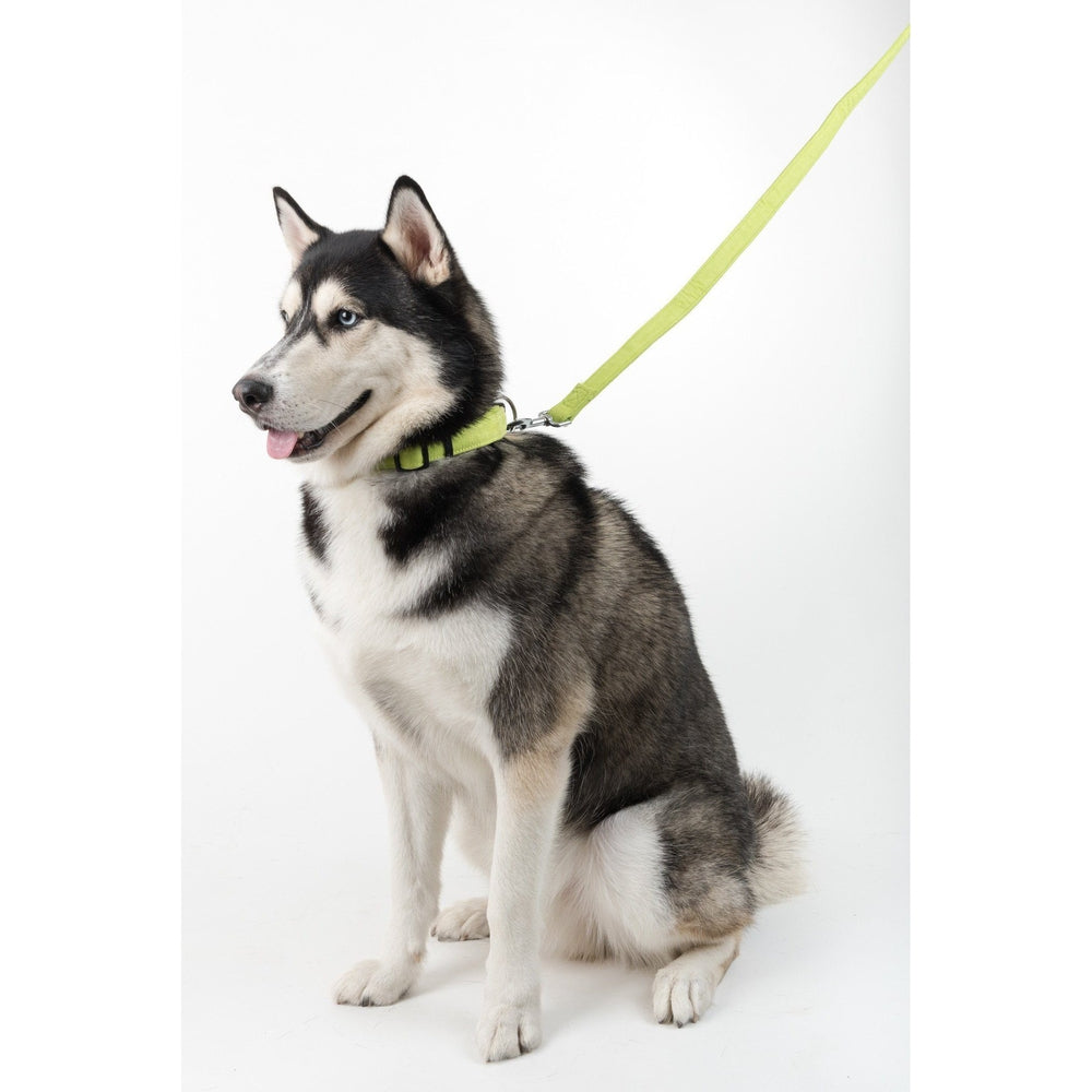 Comfort Microfiber Flat Dog Collar by Dogline
