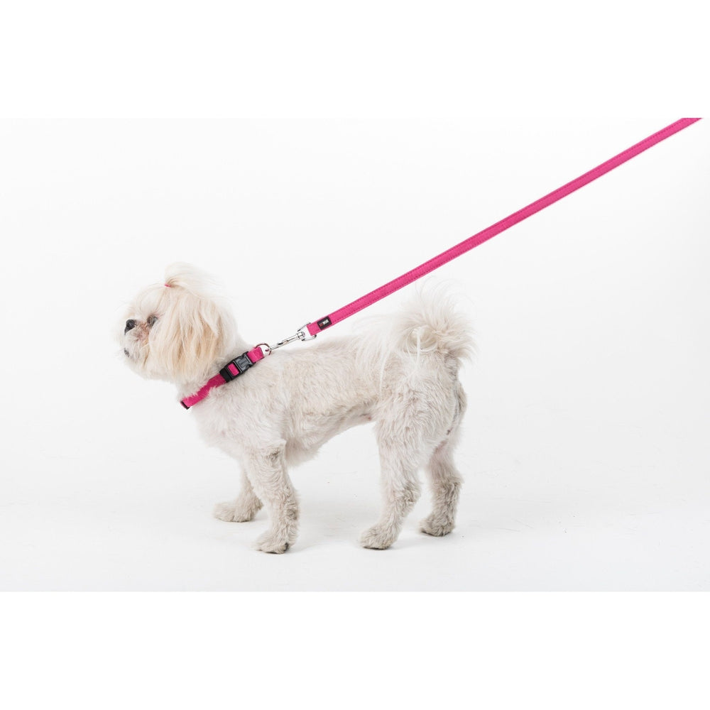 Comfort Microfiber Flat Dog Collar by Dogline