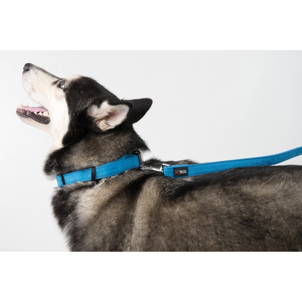 Comfort Microfiber Flat Dog Collar by Dogline