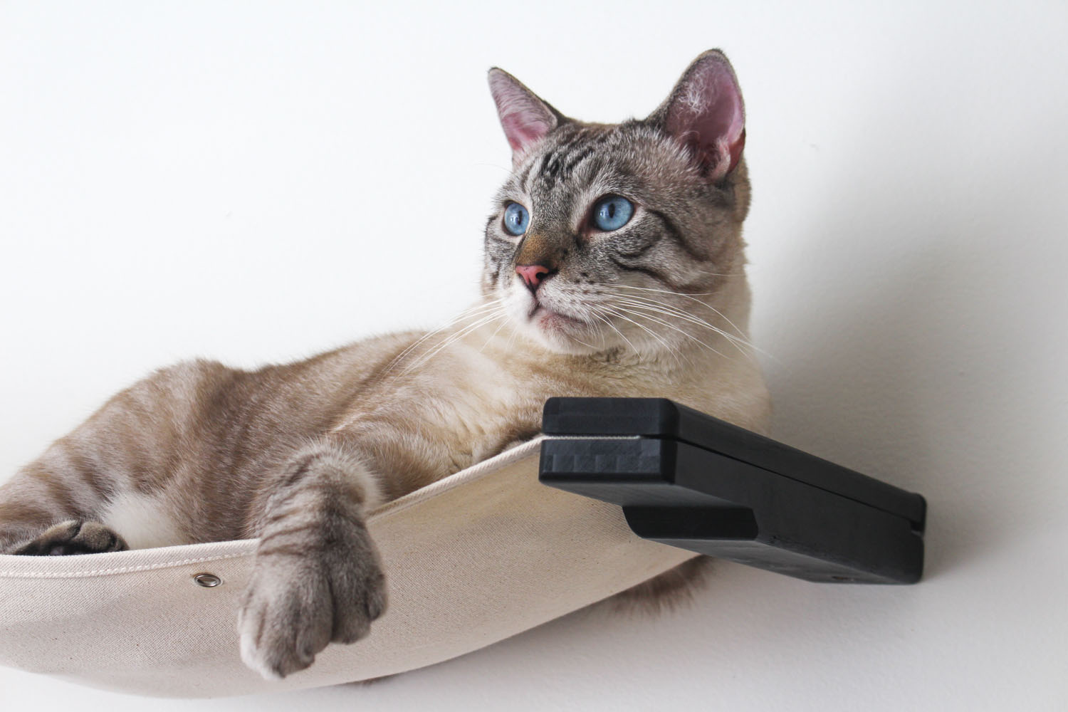 The Double Decker - Cat Hanging Bed Set