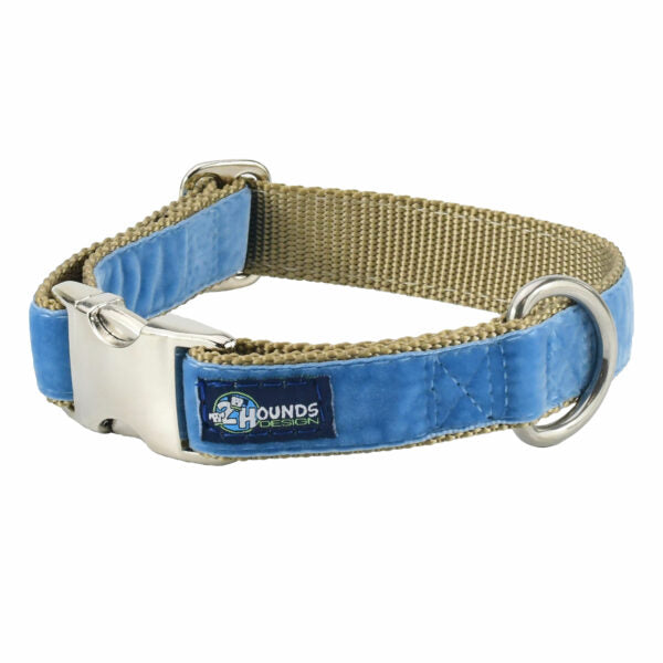 Dusty Blue Velvet Essential Buckle Martingale Dog Collar by 2 Hounds Design