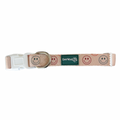 All Smiles Collar by EverWoof