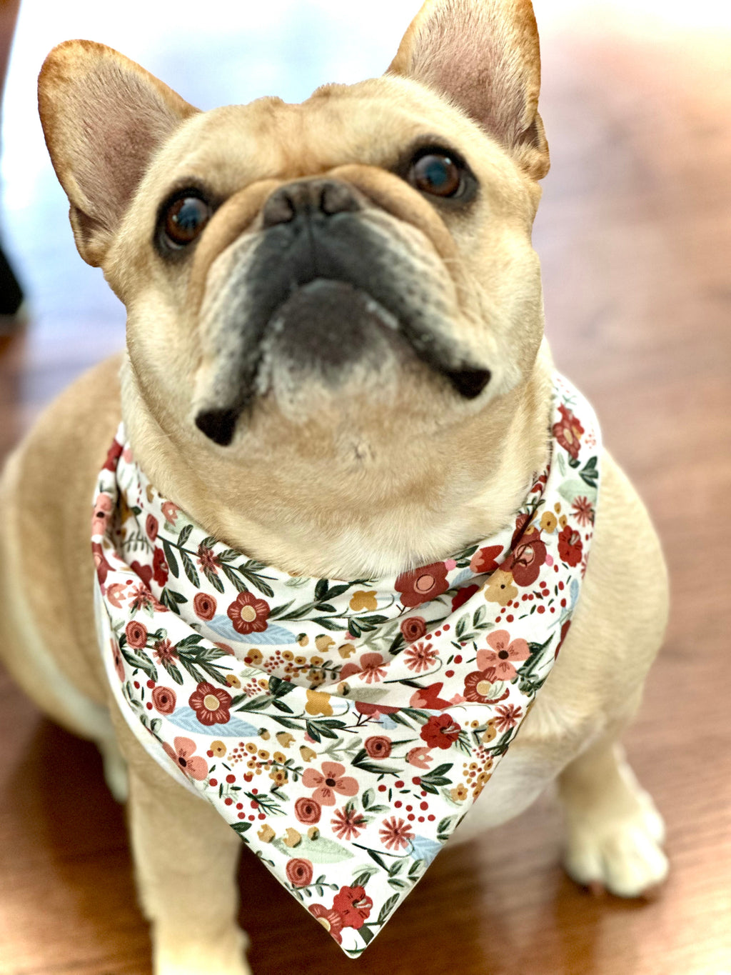 Floral Dog Bandana by Happy Tails Outfitters
