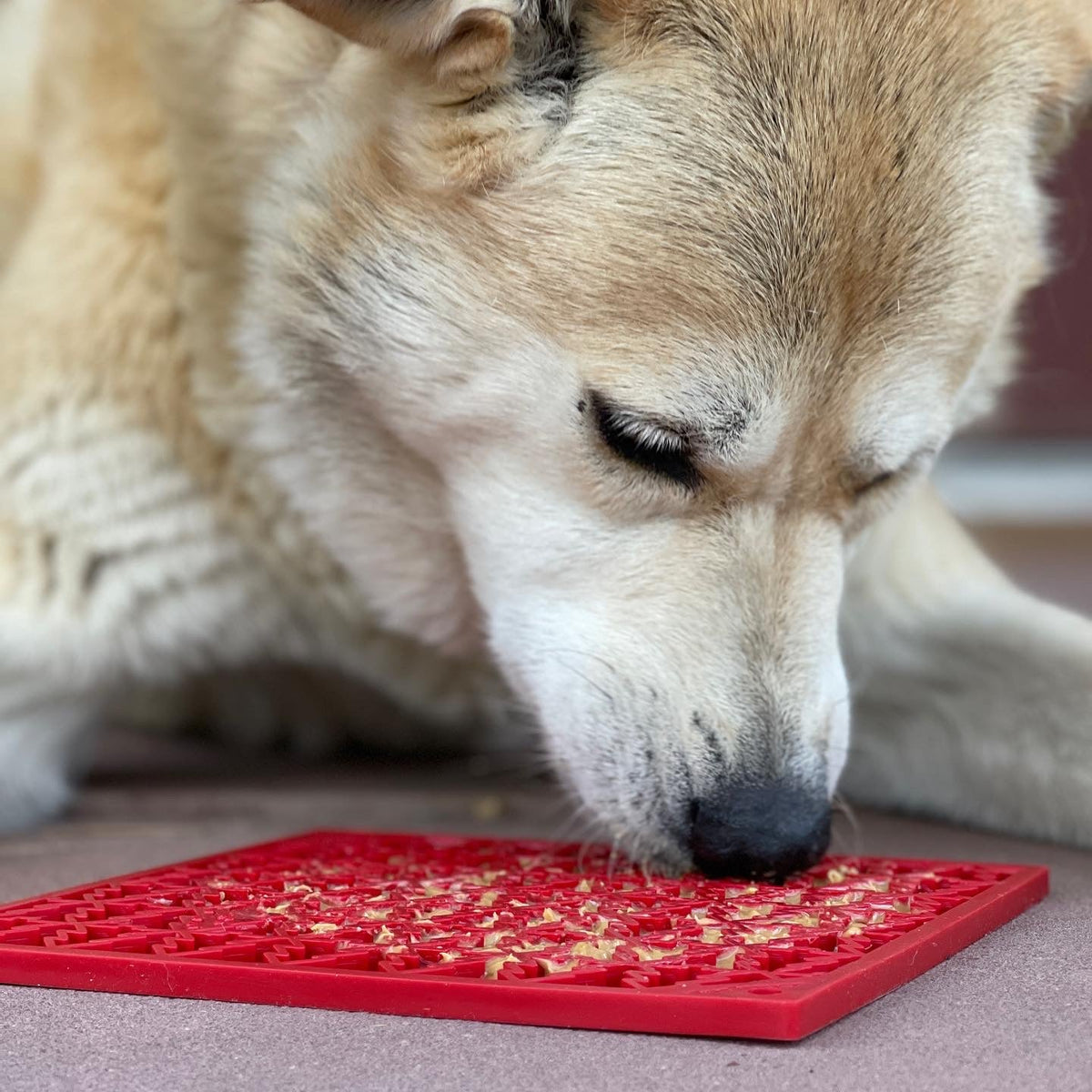 "Peace" Christmas Tree emat - Enrichment Lick Mat for Dogs and Cats | Christmas Tree design | SodaPup by SodaPup/True Dogs, LLC