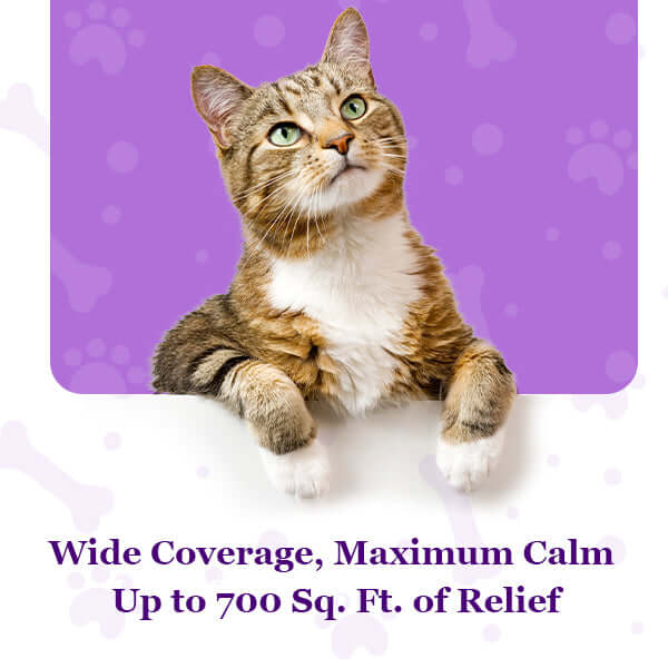 Purrfect Cat Calming Diffuser Kit with 2 Refills by Petnatics