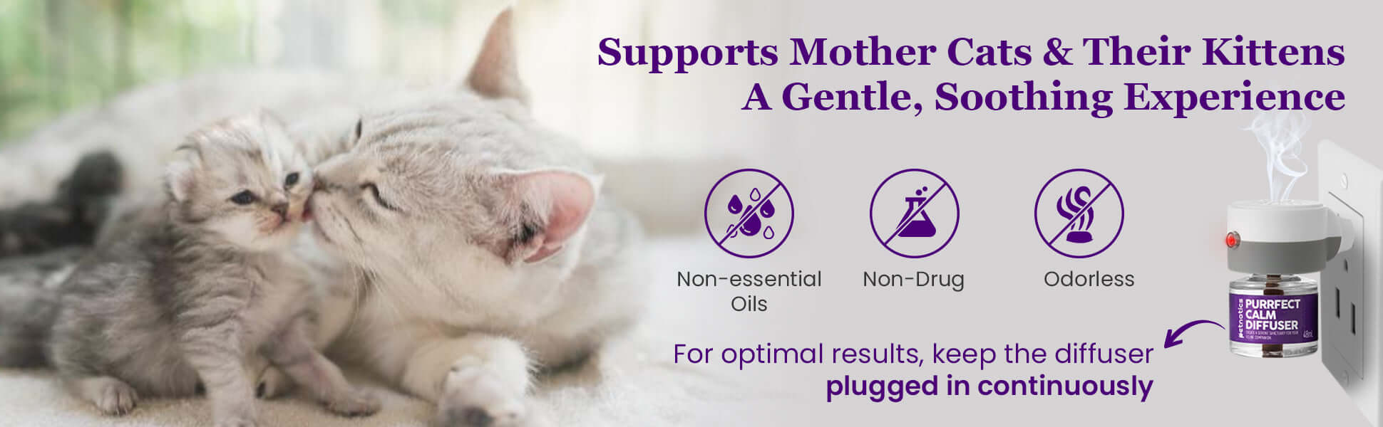 Purrfect Cat Calming Diffuser Kit with 2 Refills by Petnatics