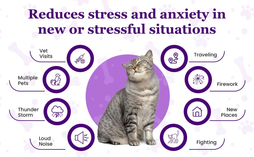 Purrfect Cat Calming Diffuser Kit with 2 Refills by Petnatics