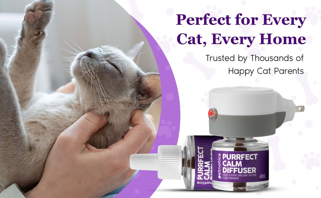 Purrfect Cat Calming Diffuser Kit with 2 Refills by Petnatics