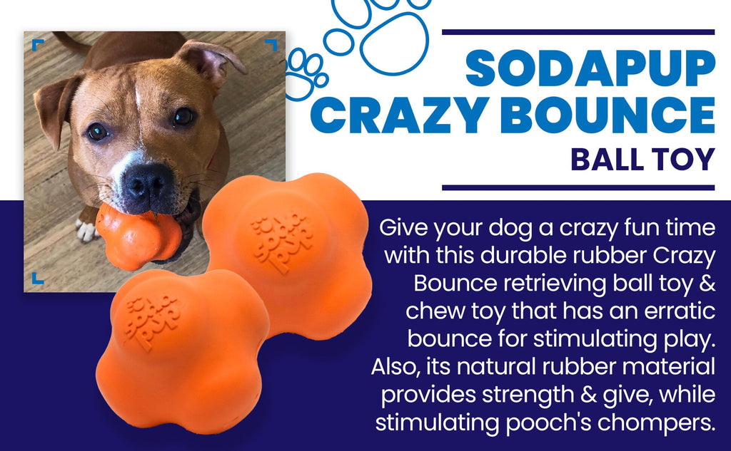 Crazy Bounce Rubber Dog Chew Toy for Power Chewers | Retrieving Ball | USA Made by SodaPup/True Dogs, LLC