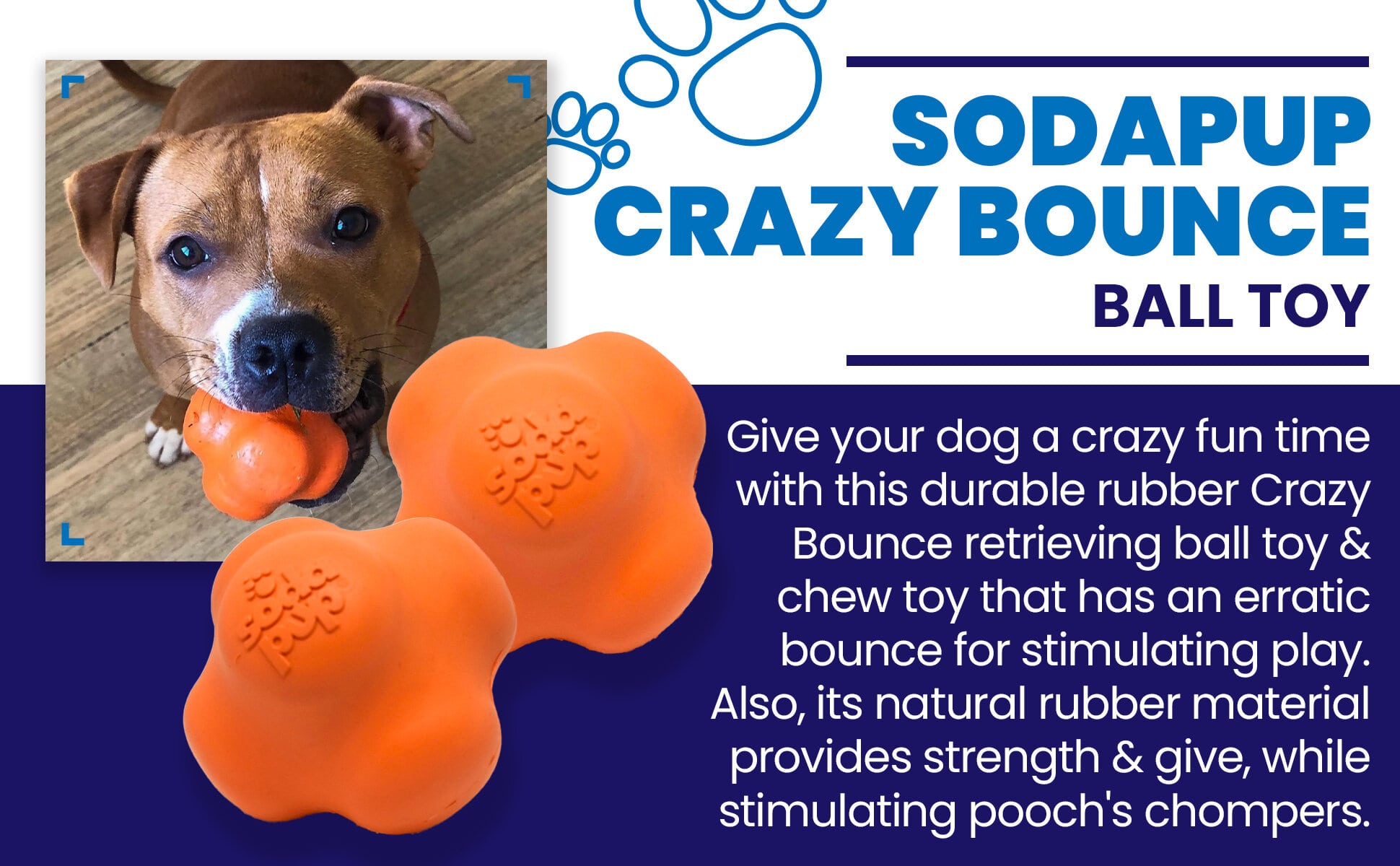 Crazy Bounce Rubber Dog Chew Toy for Power Chewers | Retrieving Ball | USA Made by SodaPup/True Dogs, LLC