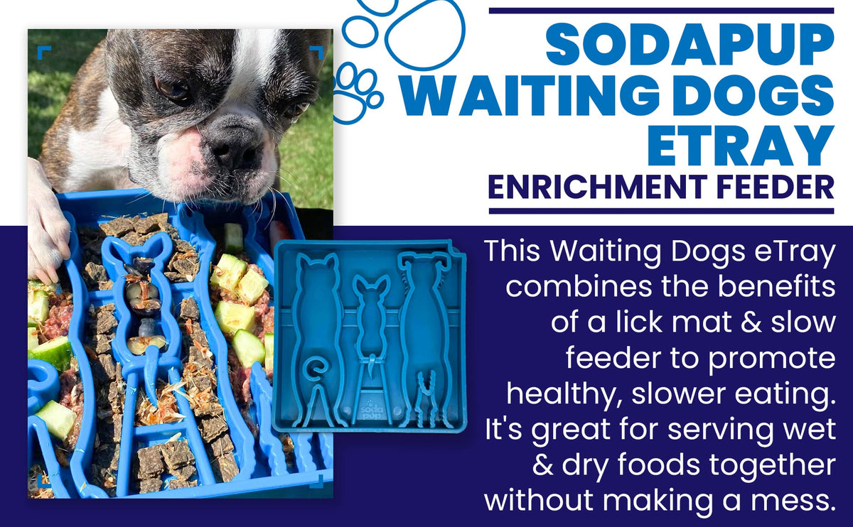 Waiting Dogs eTray - Shallow Slow Feeder Bowl for Enrichment | USA Made by SodaPup/True Dogs, LLC