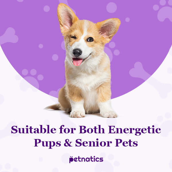 PawBalm ReducedSlip Paw Balm by Petnatics