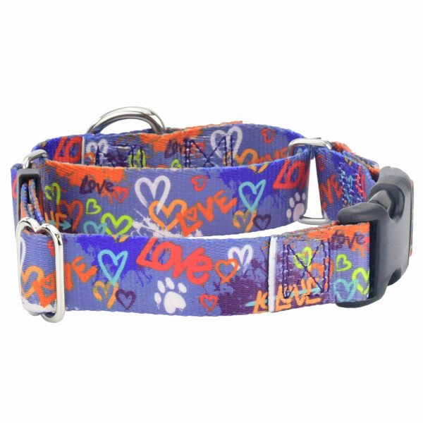 Love Graffiti Blue Buckle Martingale Dog Collar – EarthStyle by 2 Hounds Design