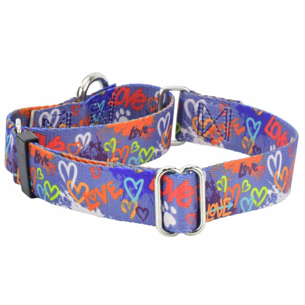 Love Graffiti Blue Martingale Dog Collar – EarthStyle by 2 Hounds Design