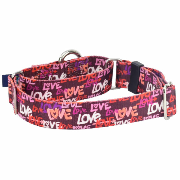Love Graffiti Red Martingale Dog Collar – EarthStyle by 2 Hounds Design