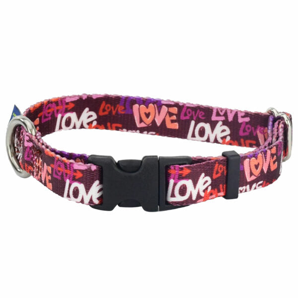 Love Graffiti Red Dog Collar – EarthStyle by 2 Hounds Design