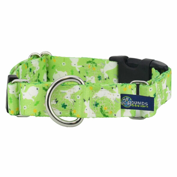 Lucky Dog Buckle Martingale Dog Collar – EarthStyle by 2 Hounds Design