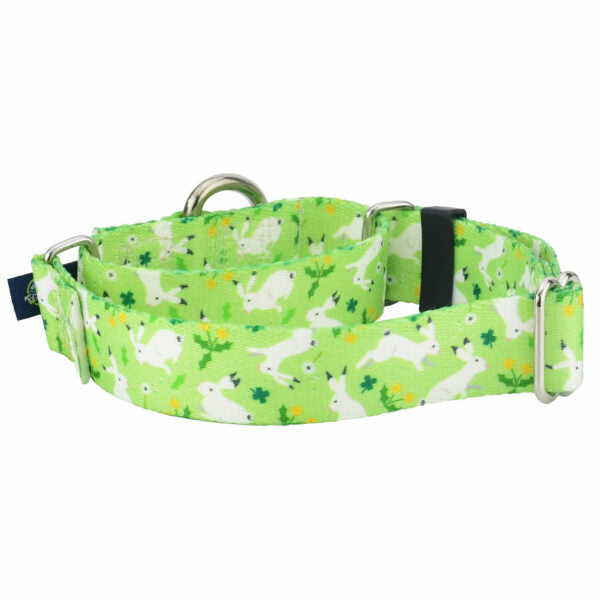 Lucky Dog Martingale Dog Collar – EarthStyle by 2 Hounds Design