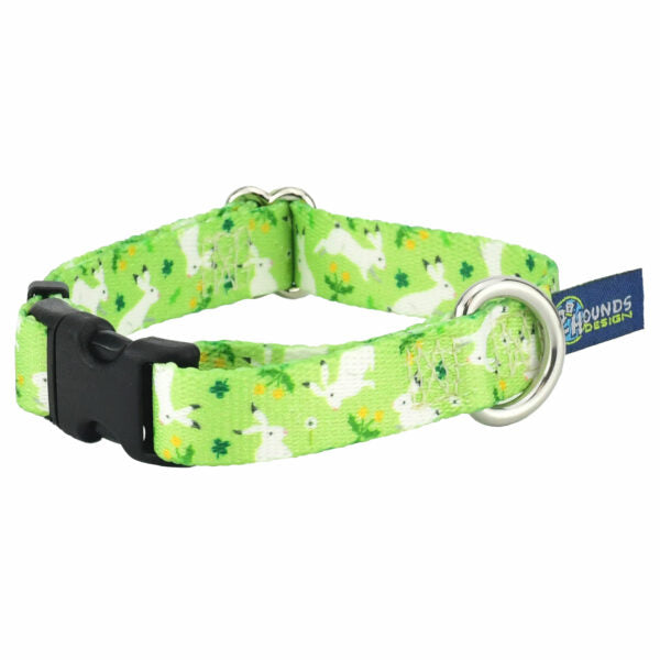 Lucky Dog Dog Collar – EarthStyle by 2 Hounds Design