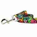 Paper Flags Dog Leash – EarthStyle by 2 Hounds Design
