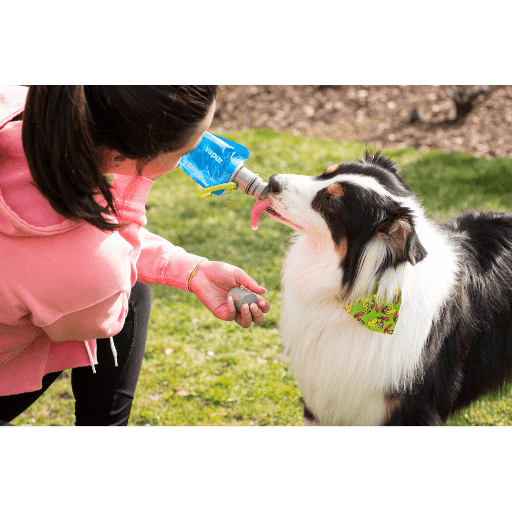 Vapur® EZ Lick™ Portable Dog Water Bottle by K9 Sport Sack