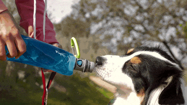 Vapur® EZ Lick™ Portable Dog Water Bottle by K9 Sport Sack