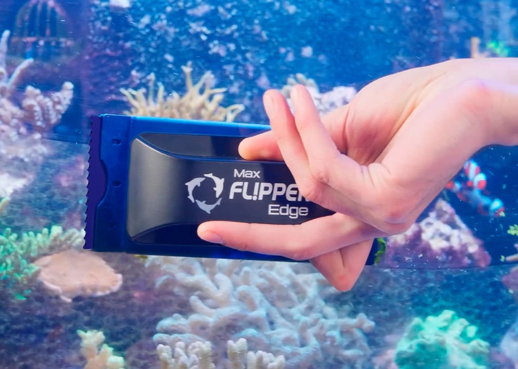 Flipper Edge Standard Acrylic Safe Plastic Blades 10 Pack by Flipper Aquarium Products