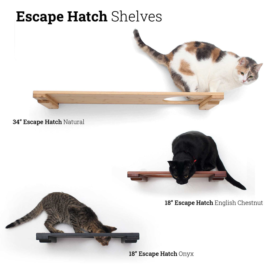 Wall Mounted Cat Shelf by Catastrophic Creations