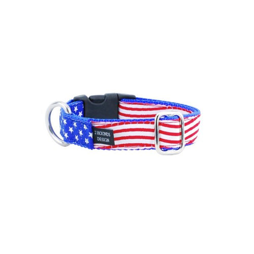1″ Stars and Stripes Essential Dog Collar by 2 Hounds Design