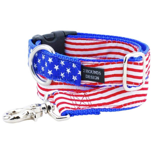 1″ Stars and Stripes Essential Dog Collar by 2 Hounds Design