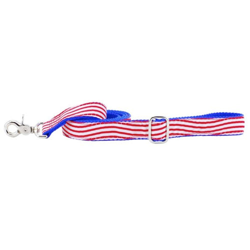 1″ Stars and Stripes Ribbon Dog Leash by 2 Hounds Design