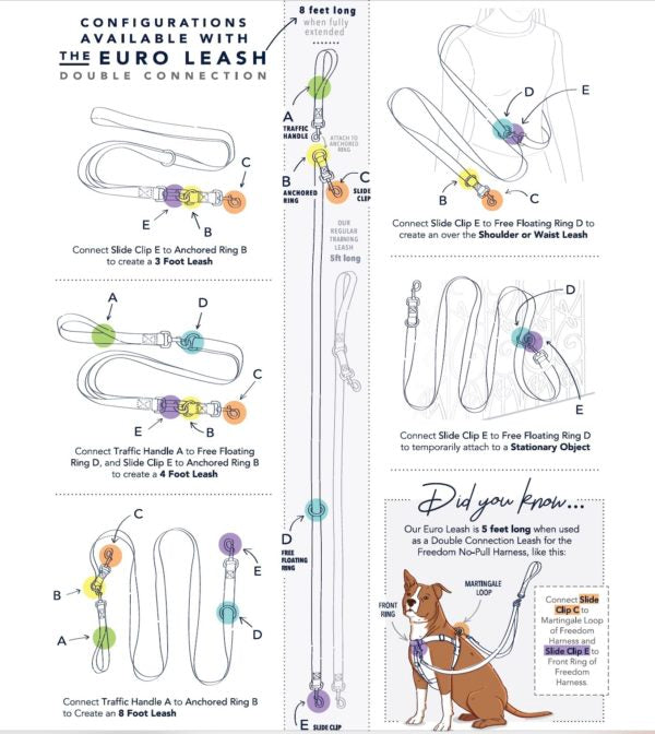 Holiday Paisley Double Connection Leash – EarthStyle by 2 Hounds Design