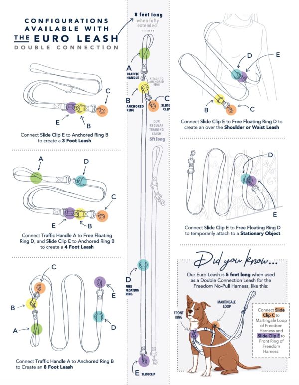 Euro Dog Leash Double Connection (Multiple Color Options) by 2 Hounds Design