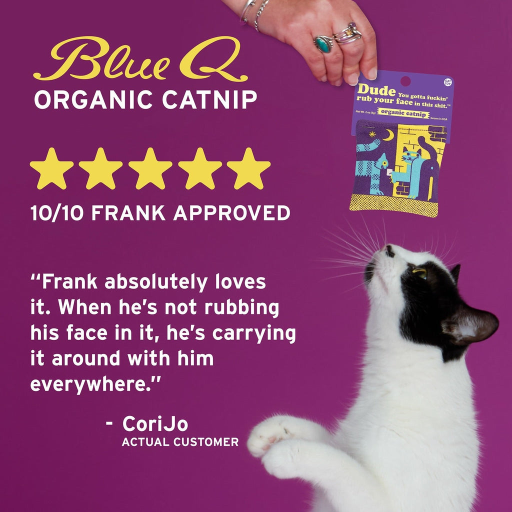 Everybody Dance Meow Club Cats Catnip Toy | Premium Organic Catnip in Illustrated Cotton Pouch | BlueQ at GetBullish by The Bullish Store