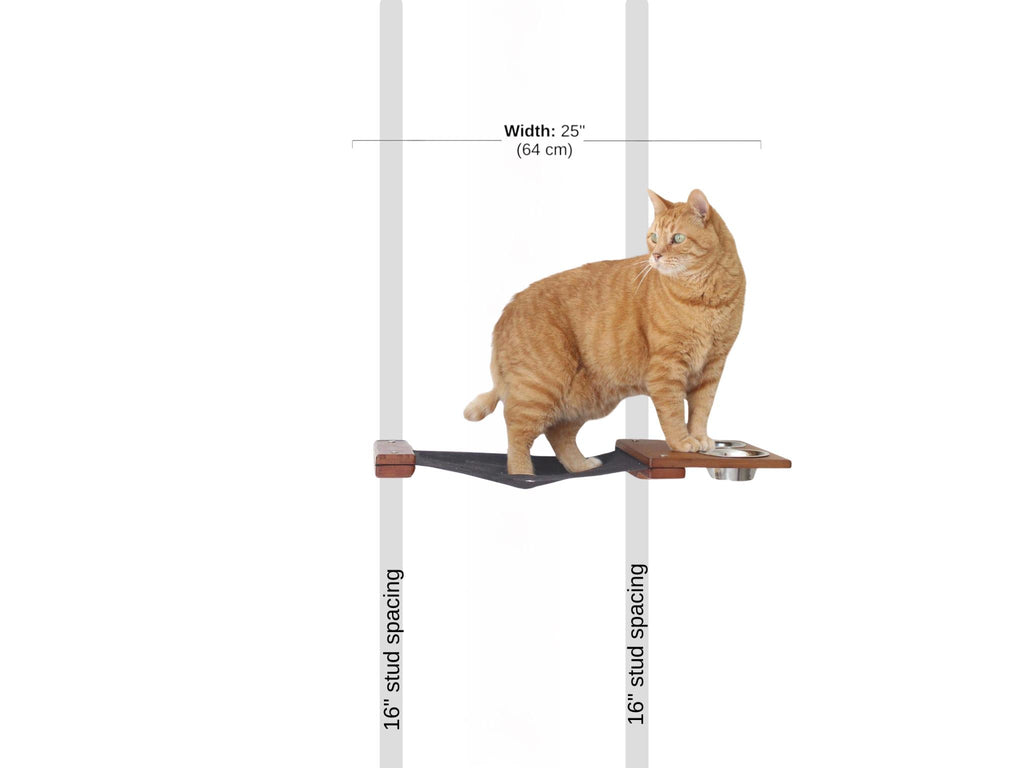 Dog Proof Cat Feeder - Wall-Mounted - Raised by Catastrophic Creations
