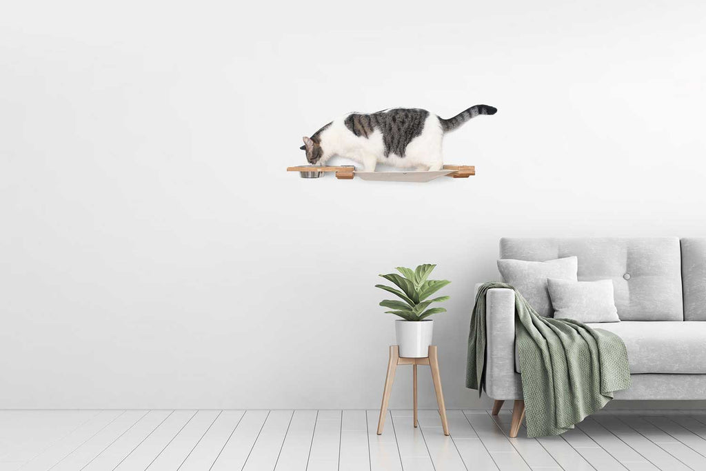 Dog Proof Cat Feeder - Wall-Mounted - Raised by Catastrophic Creations