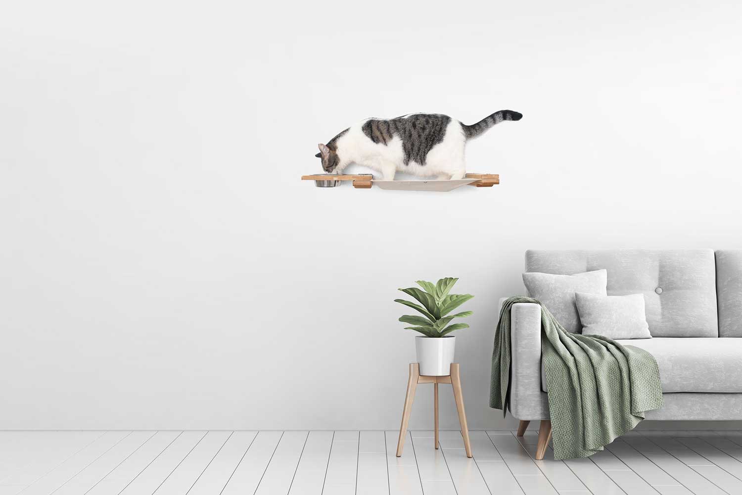 Dog Proof Cat Feeder - Wall-Mounted - Raised by Catastrophic Creations