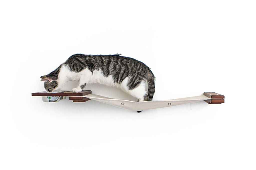 Dog Proof Cat Feeder - Wall-Mounted - Raised