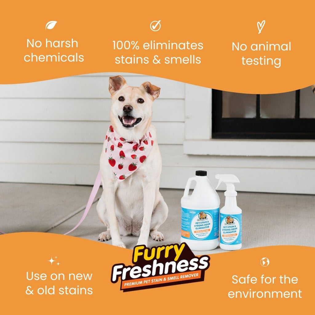 FurryFreshness Pet Stain & Odor Remover 32oz by FurryFreshness Premium Stain and Smell Remover