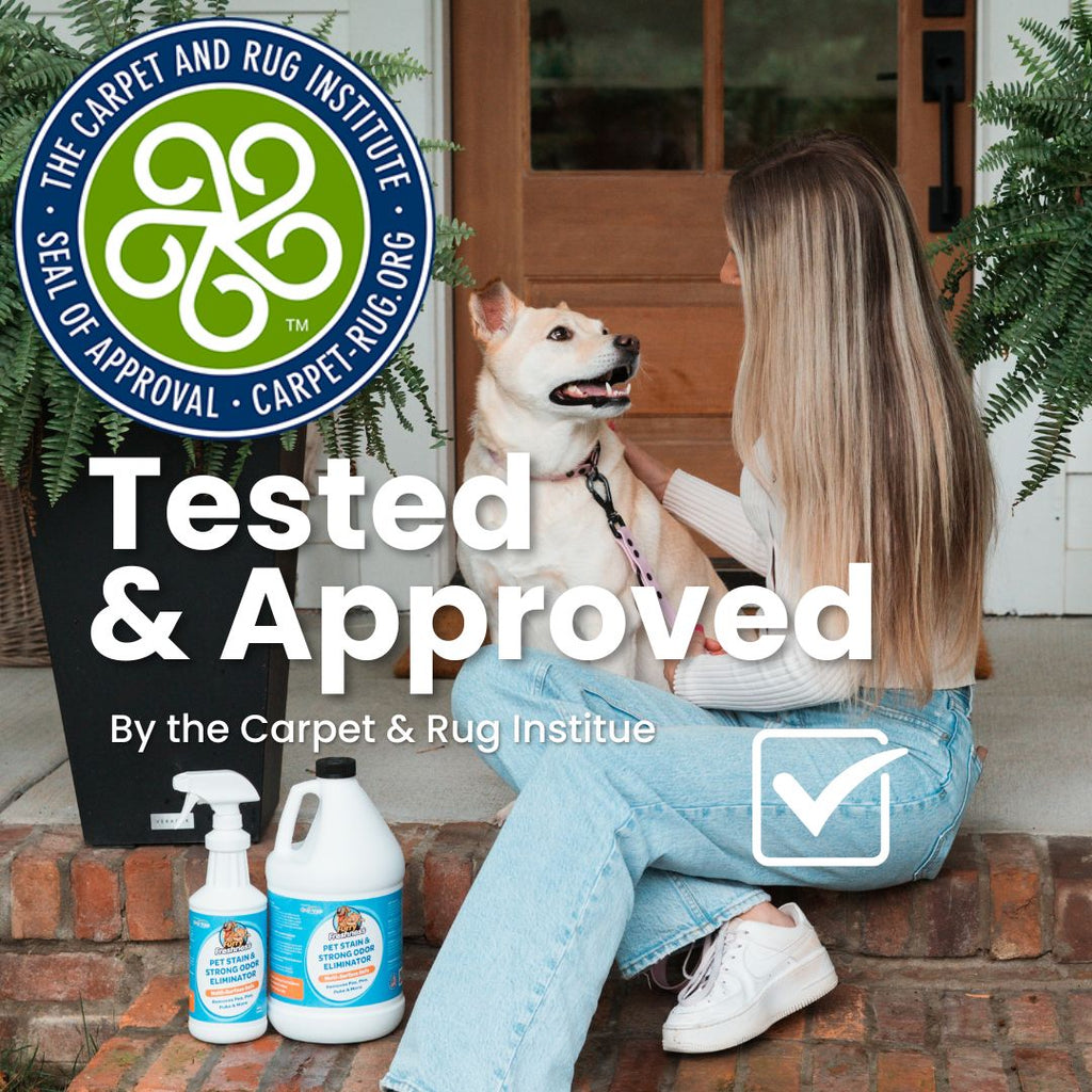 FurryFreshness Pet Stain & Odor Remover 32oz by FurryFreshness Premium Stain and Smell Remover